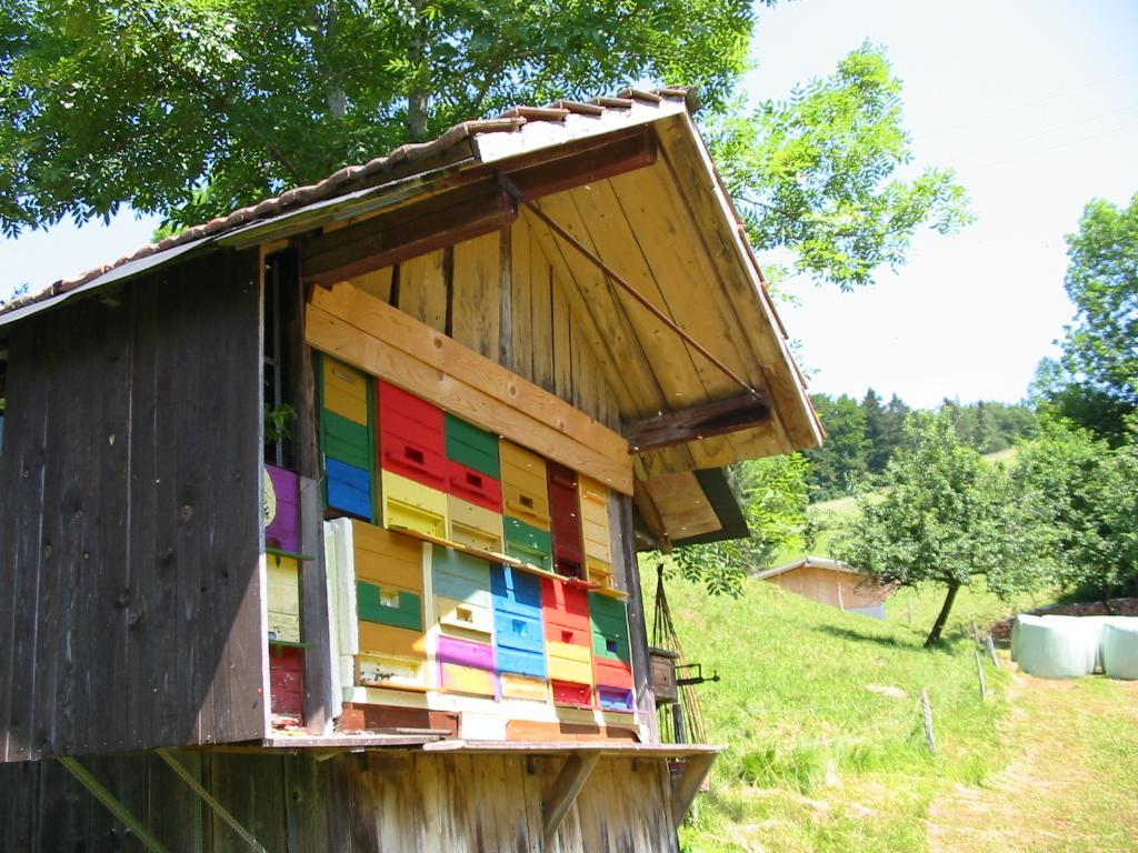 Appartement Haus Am Eckle à Kleines Wiesental Extérieur photo