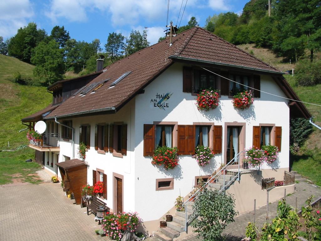 Appartement Haus Am Eckle à Kleines Wiesental Extérieur photo