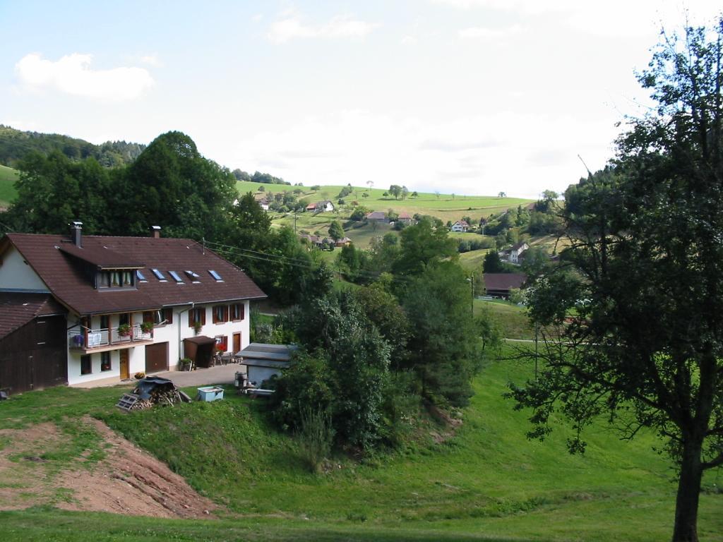 Appartement Haus Am Eckle à Kleines Wiesental Extérieur photo